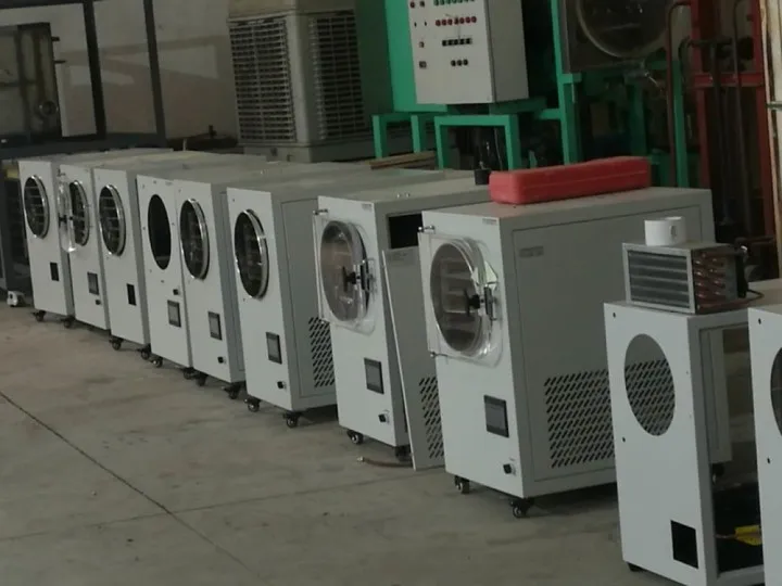 4-6kg Freeze Dryer Strawberry Pitaya Lyophilizer for Fruits and Vegetables