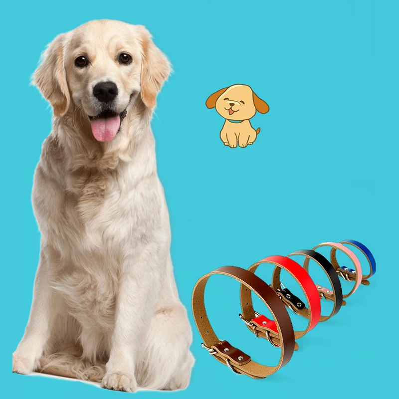 Manufacturer New Design Fashion Leather Dog Collar Multi Color Durable Pet Collar for Dogs and Cats