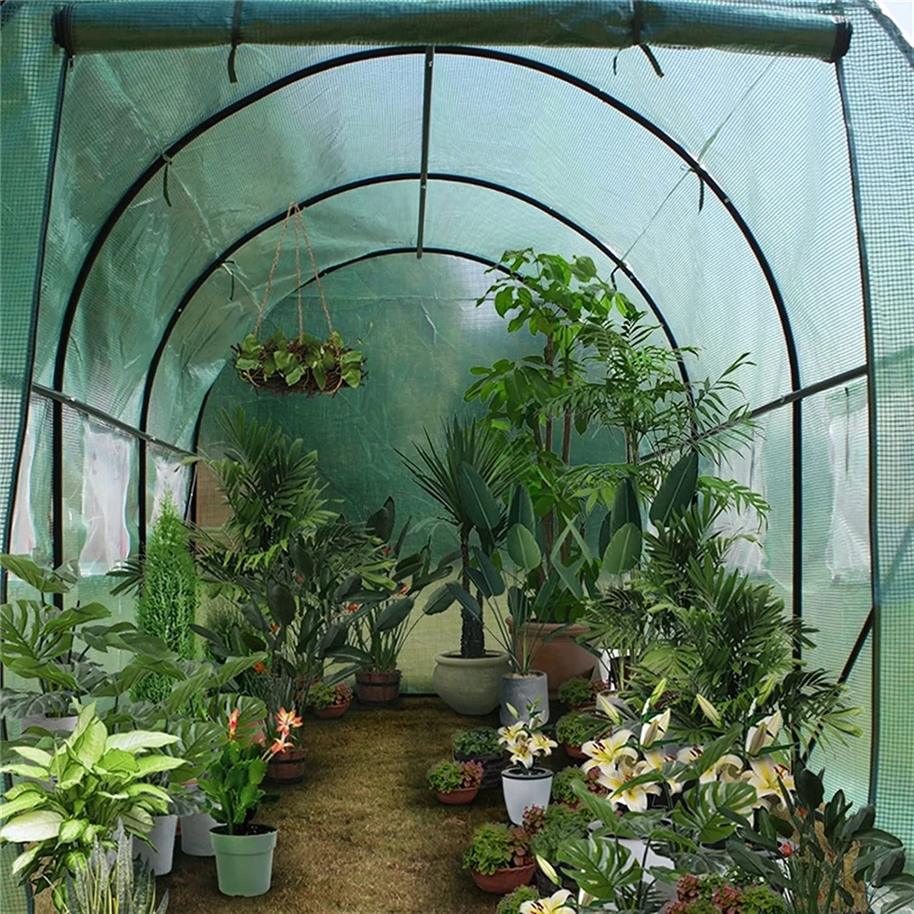 Polytunnel  Outdoor Tunnel Greenhouse Green House Growing Tent Walk-In Tunnel Garden Plant Growing Hot House