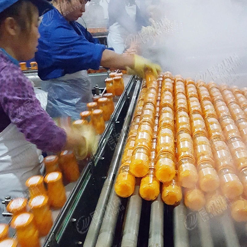 Automatic Stainless Steel Glass Bottle Honey Jam Sauce Sterilizer Can Canned Food Water Bath Sterilization Machine