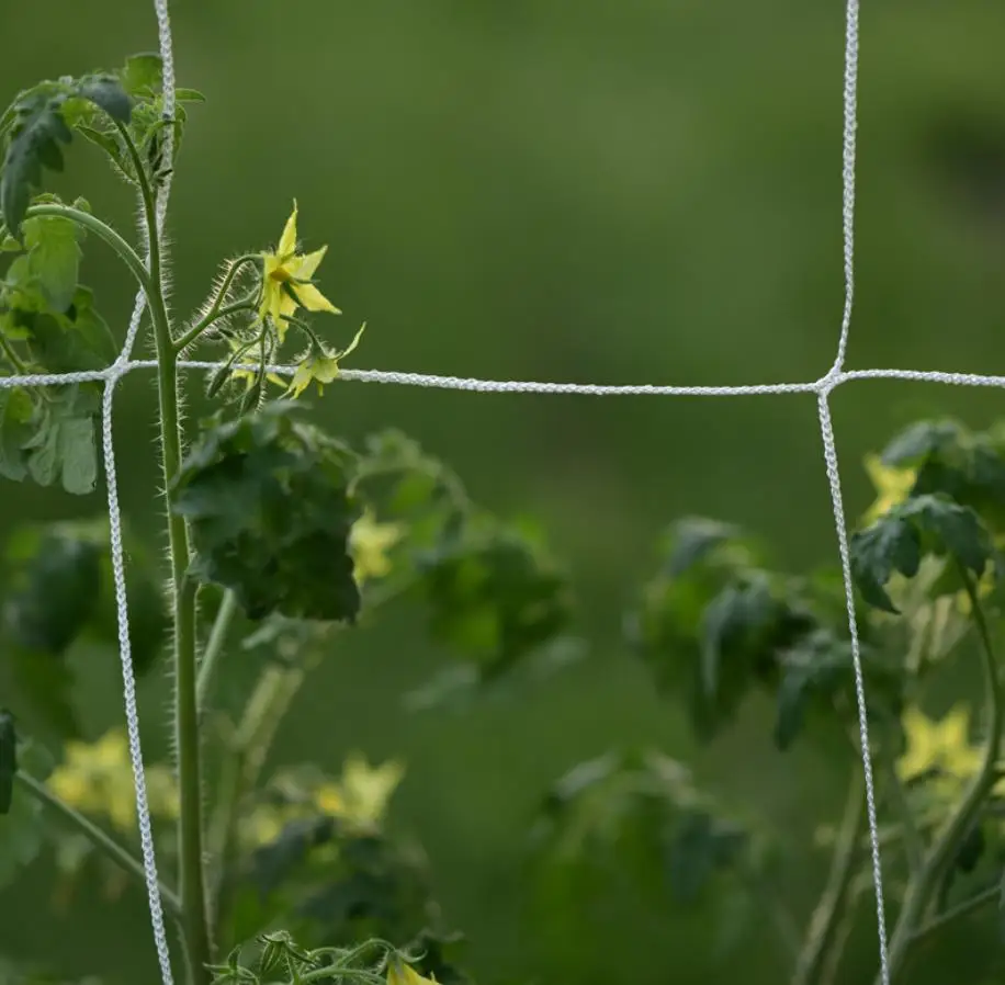 Heavy-duty Polyester Plant Trellis Netting 5 x 15ft Square Mesh Net for Climbing Plant Fruits, Vegetables