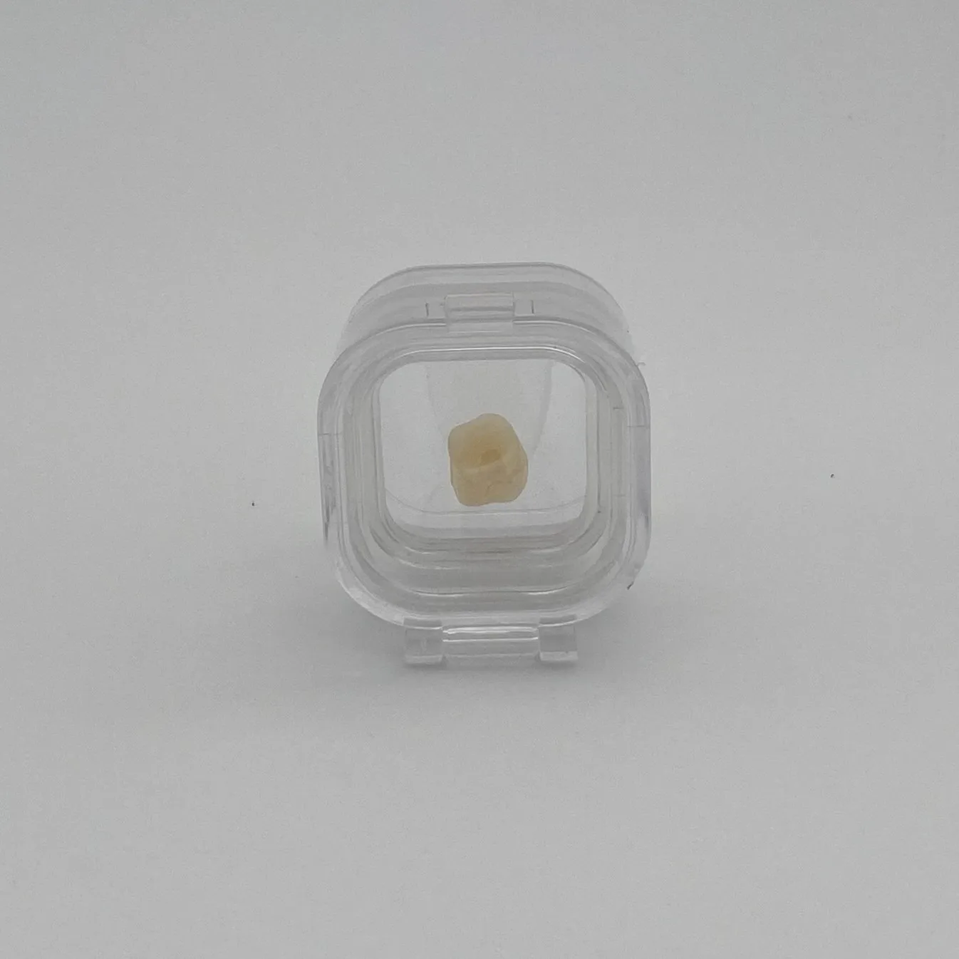 1 inch Clear Denture Box / Plastic Membrane  Box