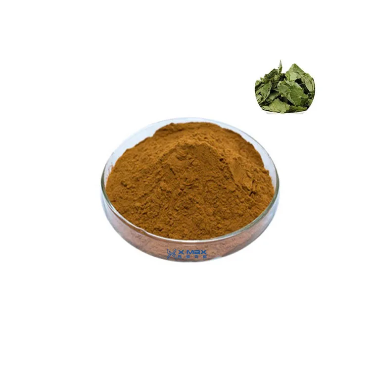 
Health Supplement Horny Weed Extract icariin 98% epimedium extract powder epimedium 