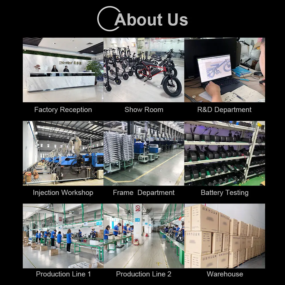 China Factory Wholesale 20 Inch Electric E Bike 48V 1000W Long Range Electric Bicycle mountain fat tair bike