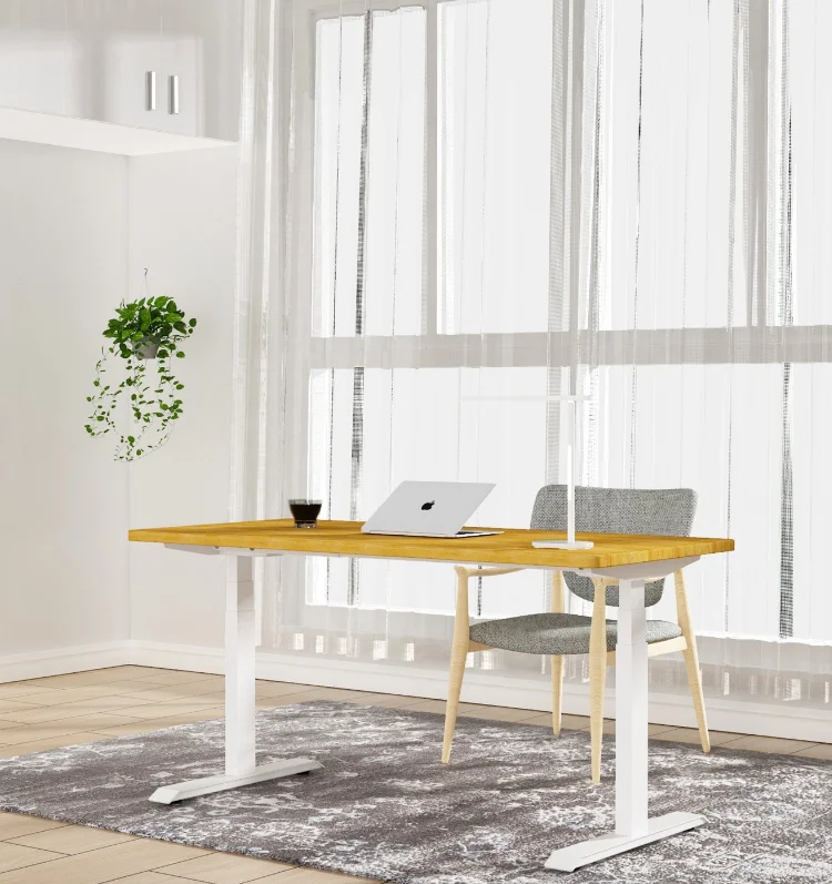 Electric Standing Table Frame Ergonomic Home Office Single Motor Height Adjustable Desk Frame Black Metal Iron Table Frame