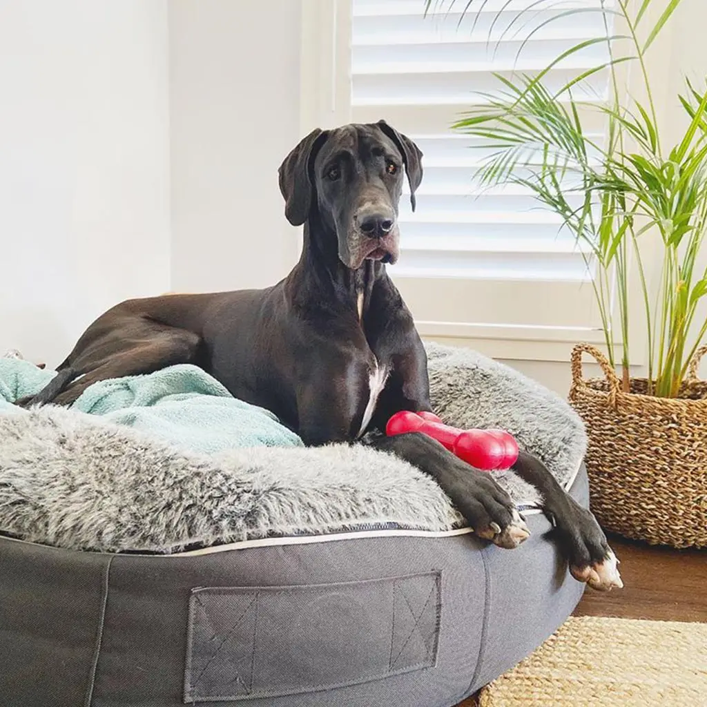 Factory wholesale Custom Luxury Pet Bed Soft Dog Nest Large Rectangle Dual Use Double Sided Breathable Pet Dog Cat Sofa Bed