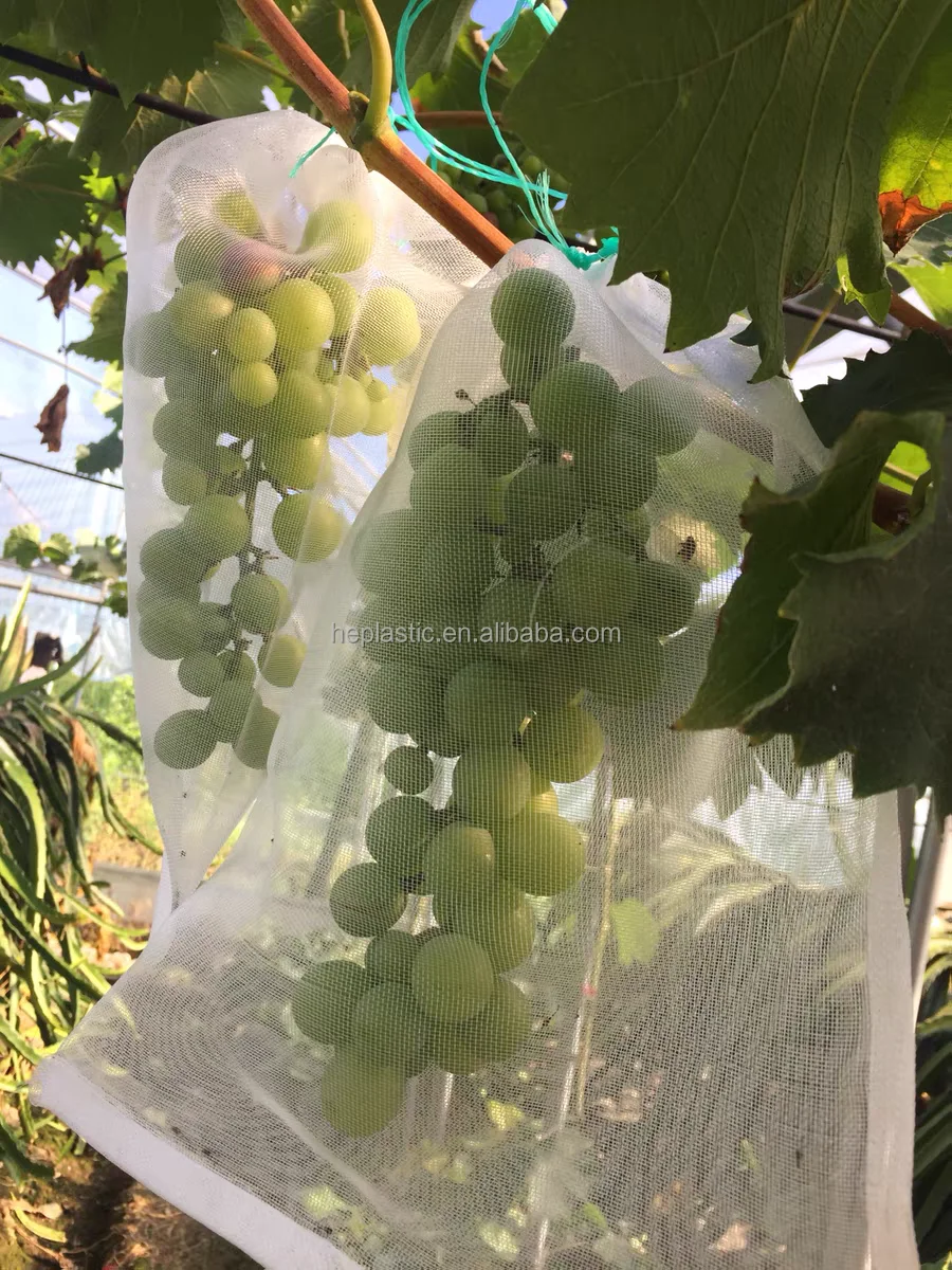 55*35cm grape mesh bag  anti bird protection reusable anti insect net bag fruit Protective Bag
