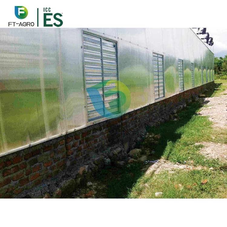 Low Cost High Quality Multi Span PC (polycarbonate) Board Production Greenhouse