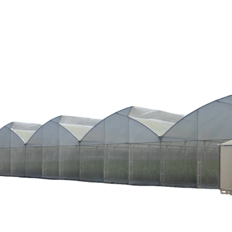 FM Saw Tooth Green House Plastic Film Agricultural Greenhouses Hydroponic Greenhouse Wholesale