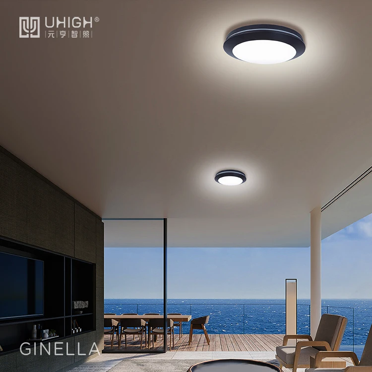 2022 New Item 16W SMD LED Garden Bulkhead Gate Path Indoor Outdoor LED Ceiling Light IP65