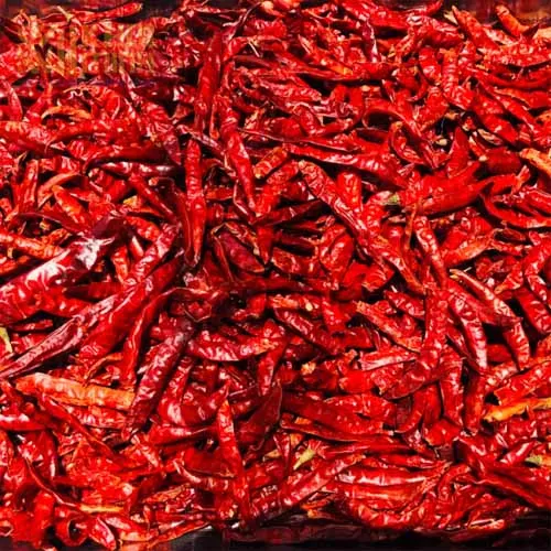 Chilli Pepper Red Chili Spices Top Vietnam Hot Style Packing Food Color Cooking Chilli Herbs