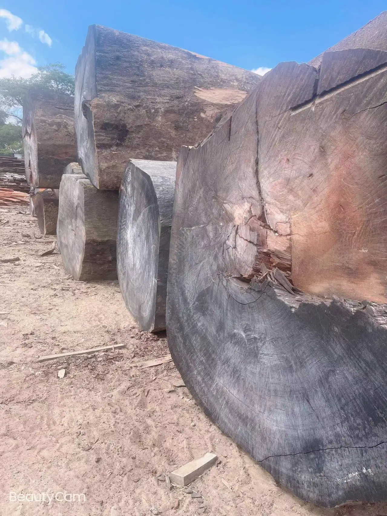 Большая древесина для продажи Mussibi/musиздавское круглое дерево из Замбии, высокое качество по низкой цене