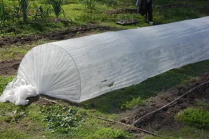 Agriculture non-woven fabric spunbonded polypropylene nonwoven fabric protection green plant