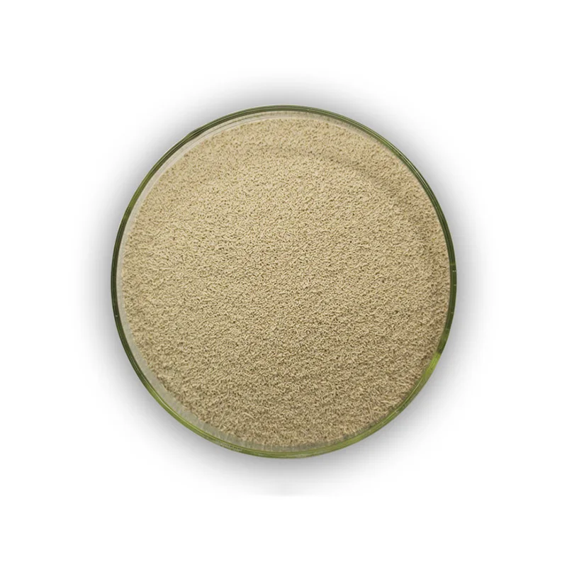Natural Pet Feed Microorganism Protein Saccharomyces Cerevisiae Beer Yeast Powder