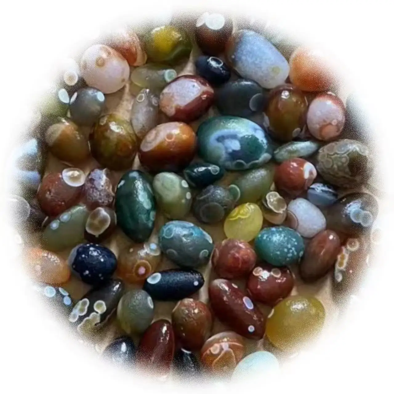 Gobi Agate A Naturally Occurring Green Agate With Eyes The Magical Healing Stones Natural Irregular Colorful  Agate stones