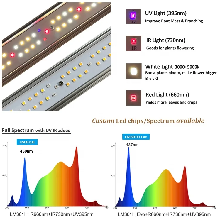 led chips full spectrum full spectrum led grow light uv ir separate control lm301h evo