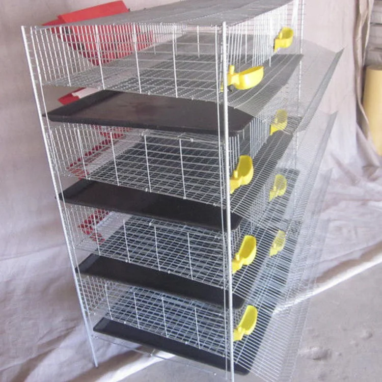 Automatic feeder system 6 layers H type quail layers cage for eggs