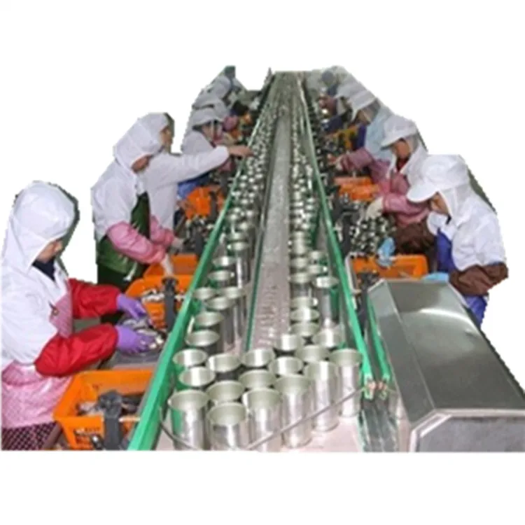 small scale canned mackerel processing machine