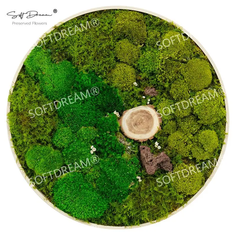 Forever Preservative Moss Wall Art Home Decor Moss Wall Panel Customized Size Green Real Natural Preserved Moss Wall