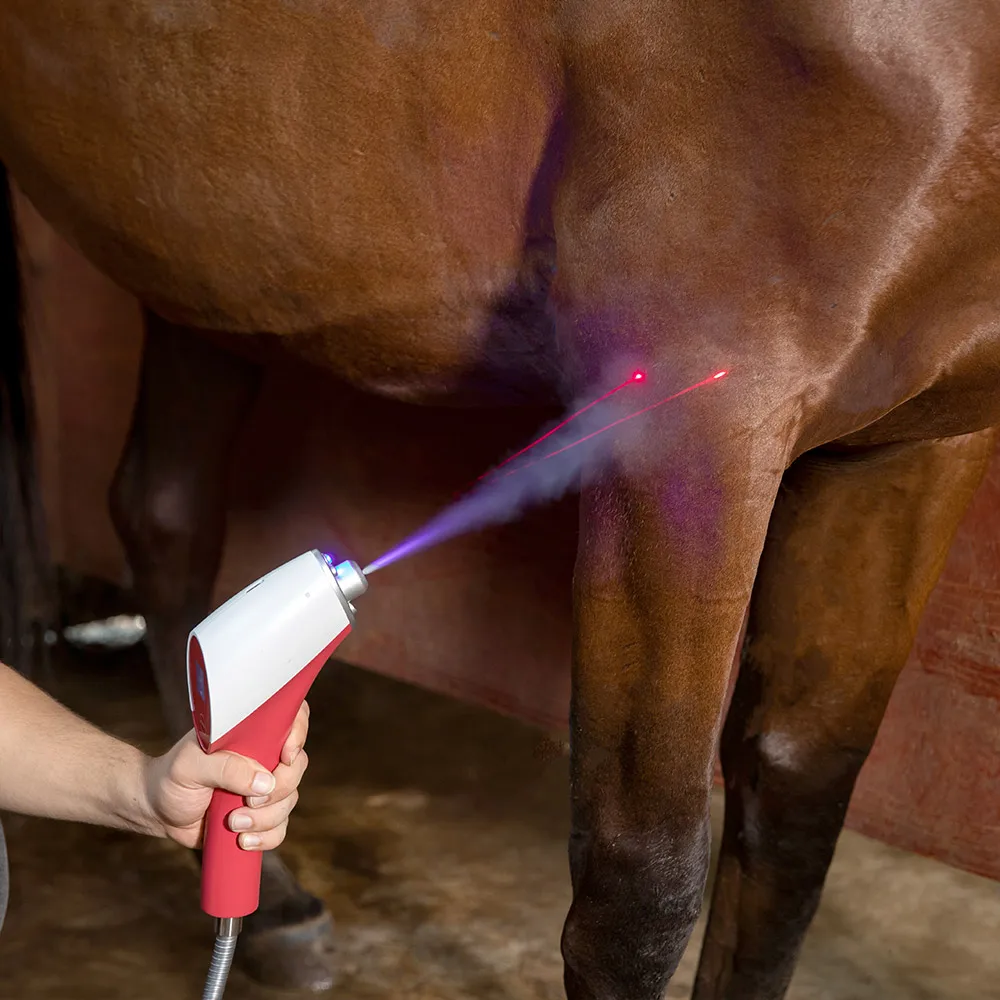 Physical Co2 Shock Cryo Therapy Device Cryo Skin Cooling Body Care Machine For Horses Dogs Cats Pets human Use
