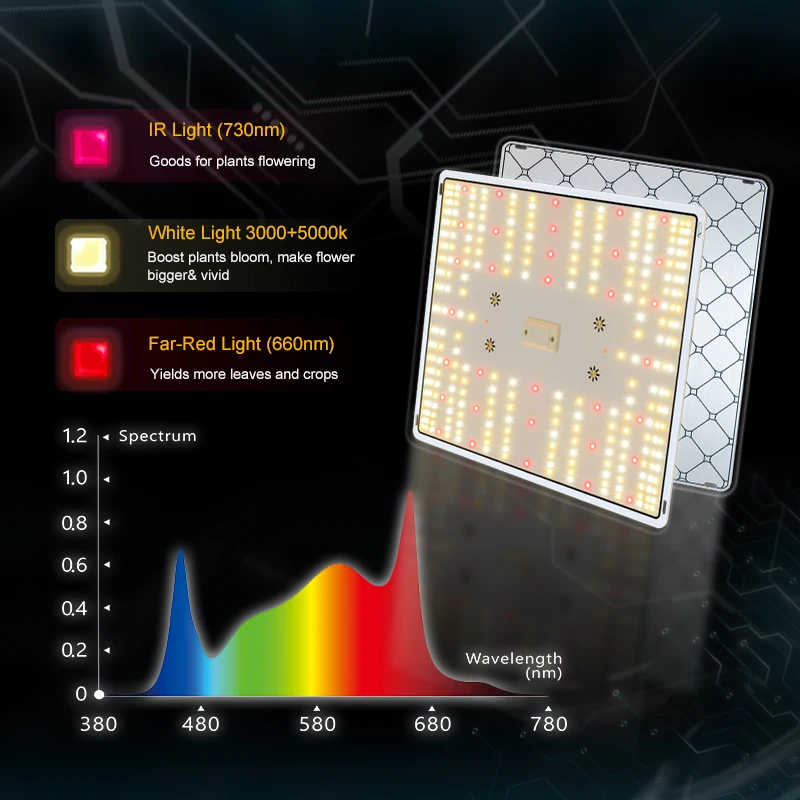 100W LM301H EVO LED Grow Light 3500K IR Full Spectrum Plant Grow Light For Flowers Vegetables Indoor and Outdoor