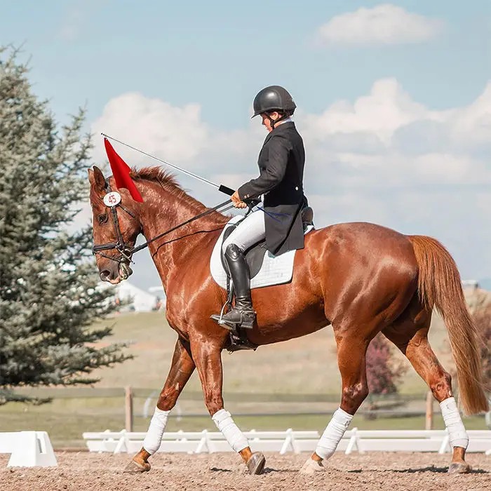 Wholesale High Quality Horse Equipment Custom Horse Training Flag Equestrian Training Flag with Telescopic Flagpole