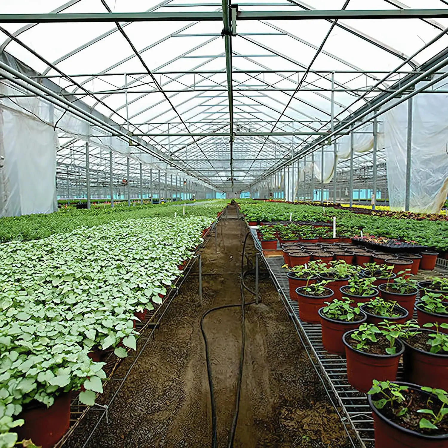 Низкая цена горячая Распродажа Тепличный пластиковый материал высокий туннель сельское хозяйство теплица для продажи