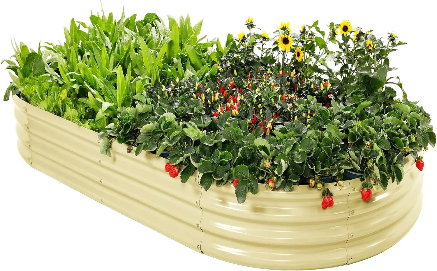 China manufacture wholesale farmstead raised garden bed 6ft*3ft*2ft  could customized different size