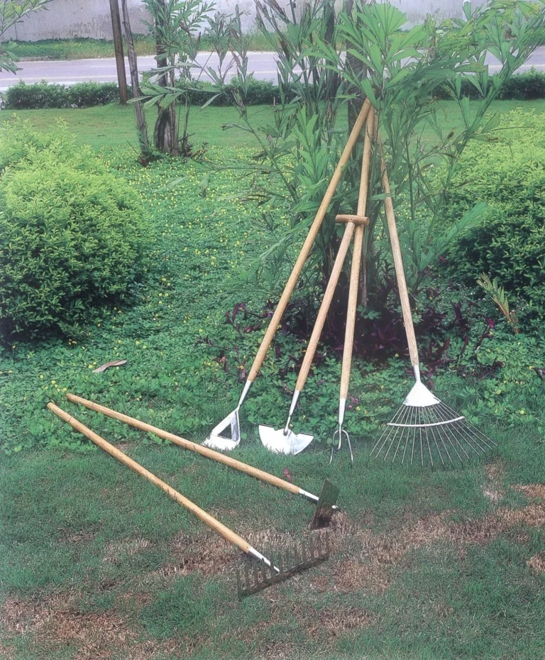 
Half Moon Lawn Edger Wholesale Certified Polished Stainless Steel Head Traditional T Wood Handle Garden Edger 