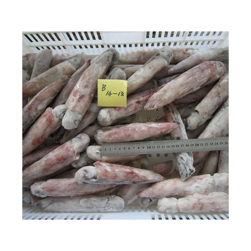 Sea Catch Illex Squid Whole Round On Sale