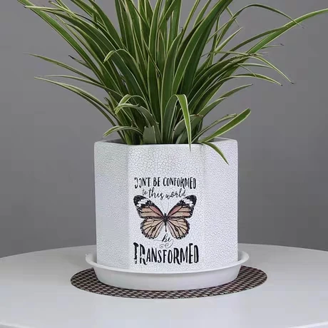 
Simple large white modern tiger skin orchid butterfly orchid special clearance custom Chinese manufacturers 