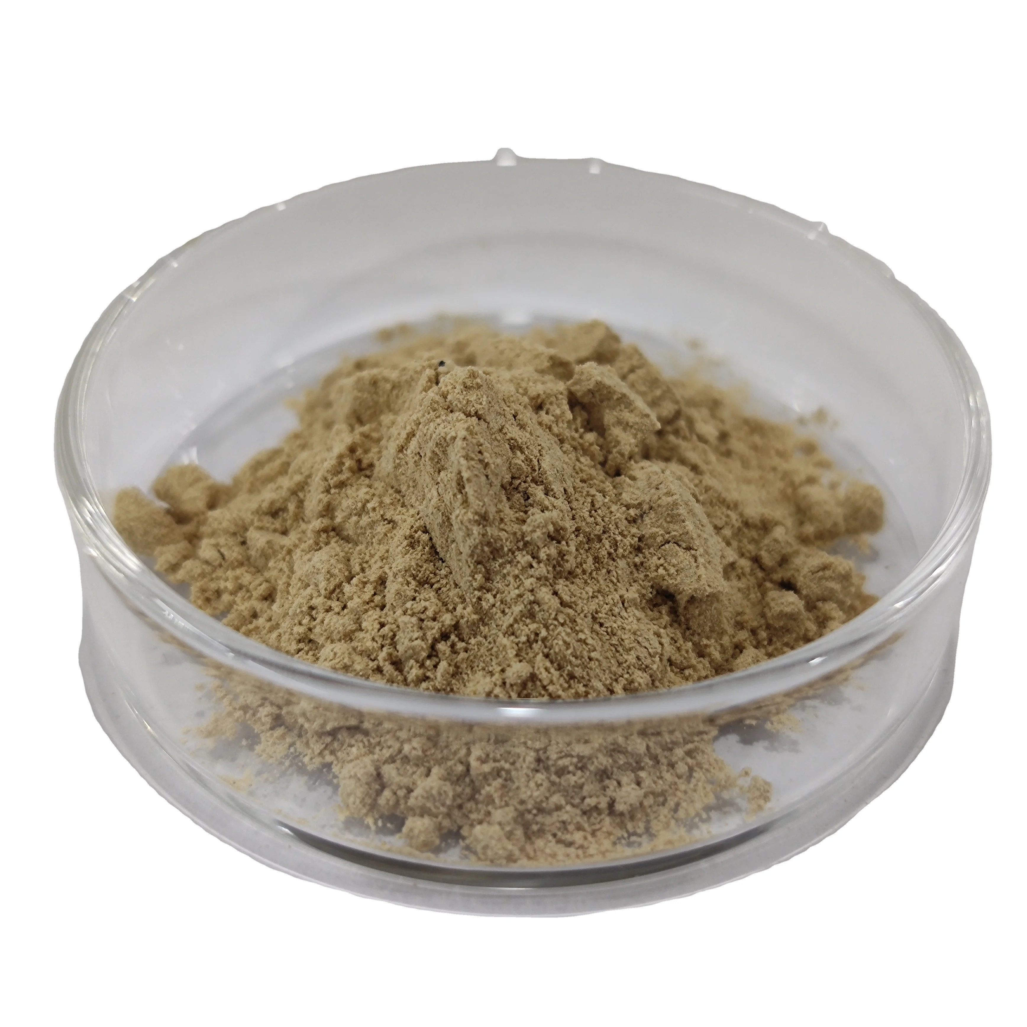 High Quality From China Yeast Manufacturer Beer Yeast Powder animal feed additive