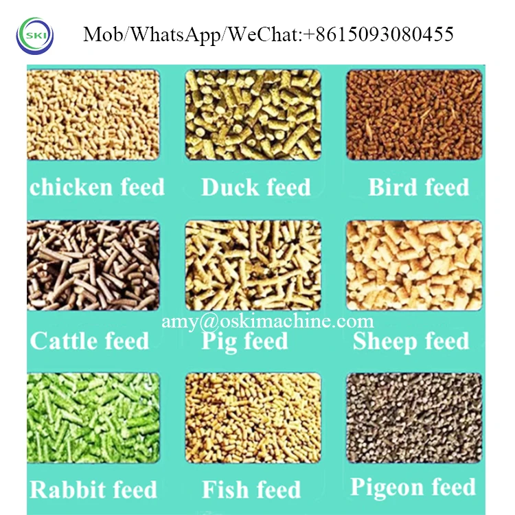 Feed Pellet Machine For Farms Feed Production 200kg/H Small Poultry Feed Equipment Animal Processing Machine
