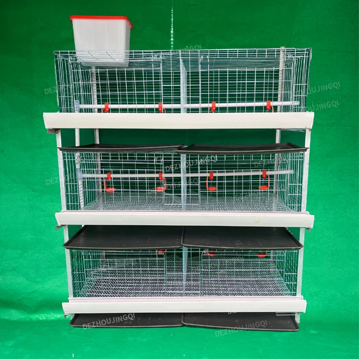 Full automatic broiler chicken coop with poultry equipment for poultry husbandry