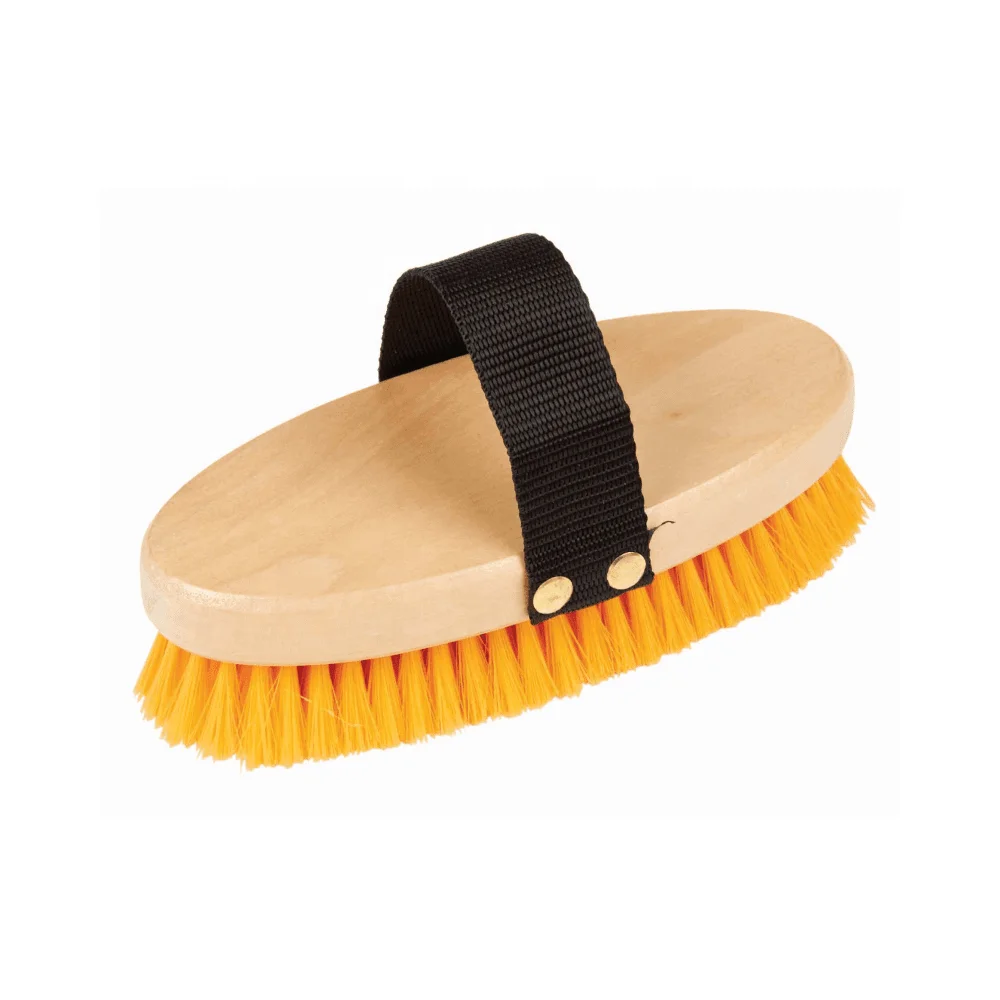 Factory Wholesale Wooden Body Brush for Horse and Pet Care Classical Design