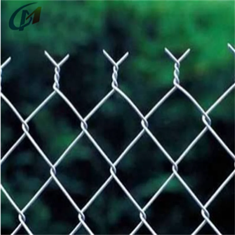 Security Residential Privacy Fencing Galvanized Chain Link Fabric  Wire Mesh Fences & Swing Gates