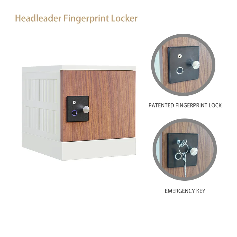 Headleader Smart Silent Fingerprint Lock Assembled Cabinet Luxury Metal Panel Locker for Hospitals Libraries Private Clubs