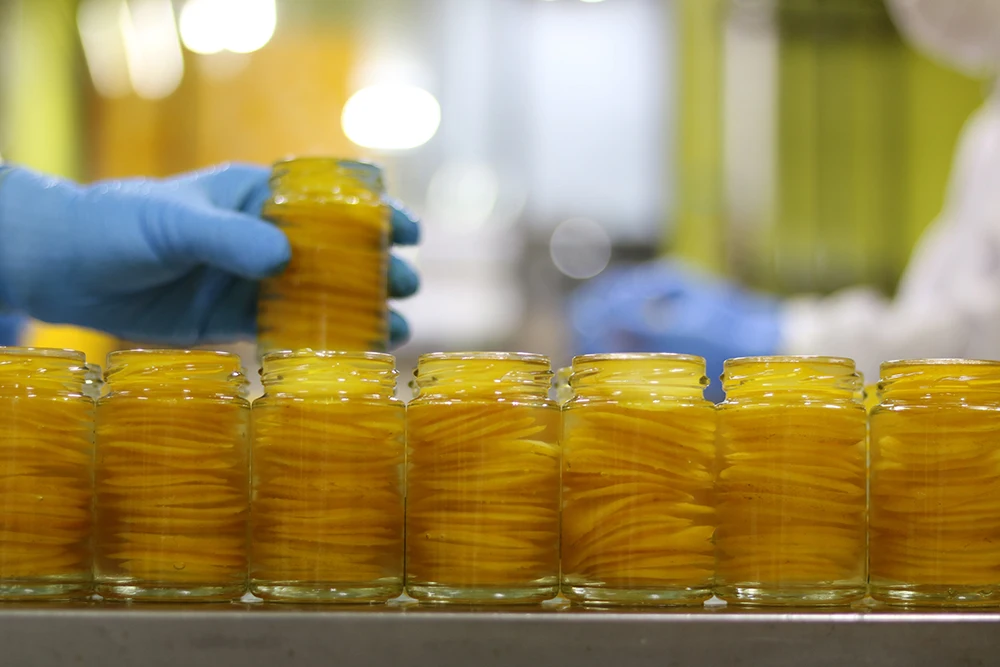 Высококачественный Сладкий Освежающий консервированный продукт свежий цитрусовый ломтик фруктов