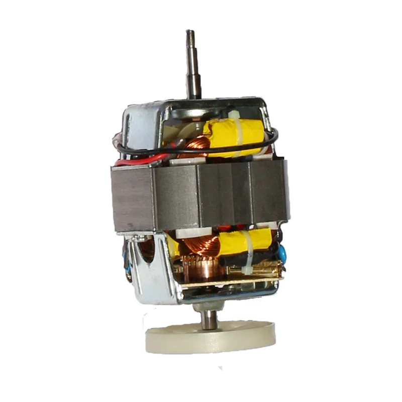 China High Quality New Products 2021 220-240v 50/60hz Synchronous Mixer Engine Ac Universal Motor