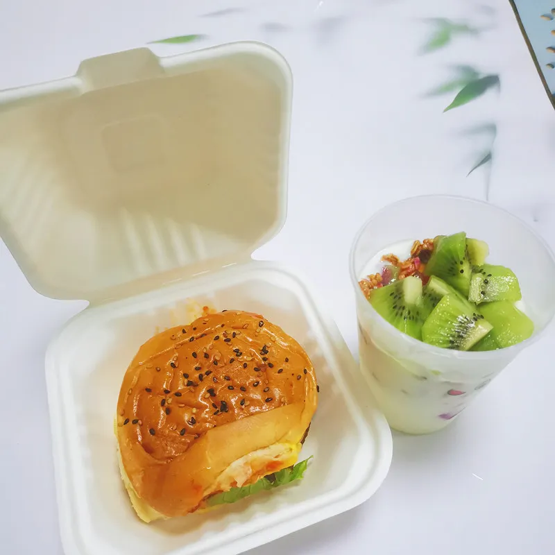 Customizable 450ml 17.5cm Greaseproof and Microwavable Eco Friendly Bagasse Food Containers Biodegradable Lunch Box