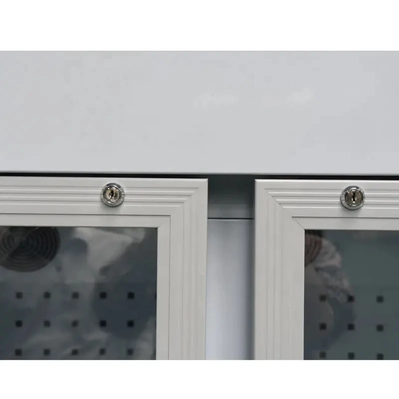 8~20 Degree Large Glass Doors Cheap Pharmacy Refrigerator