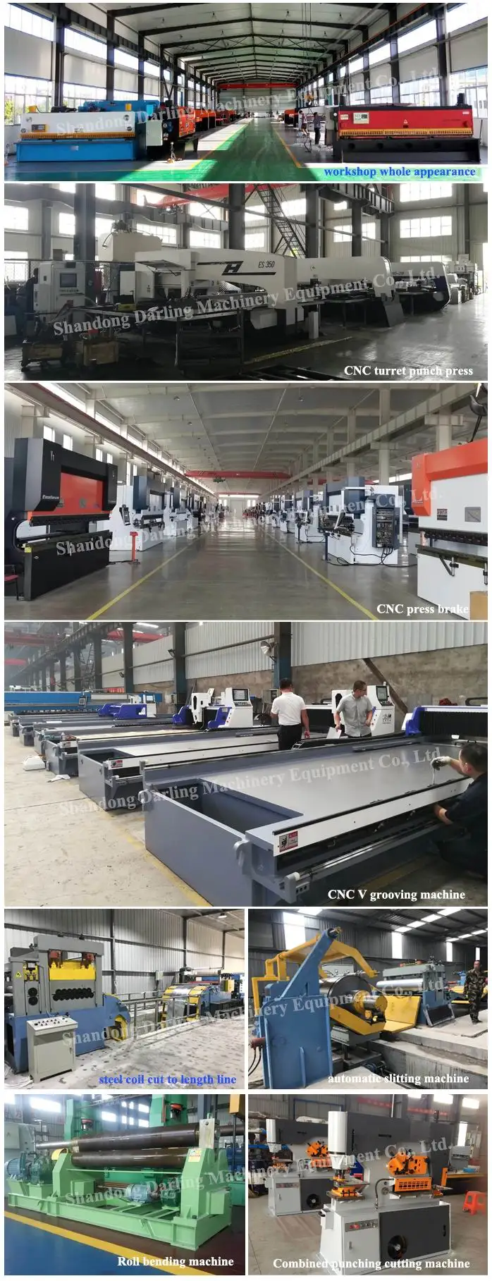 yangli press brake