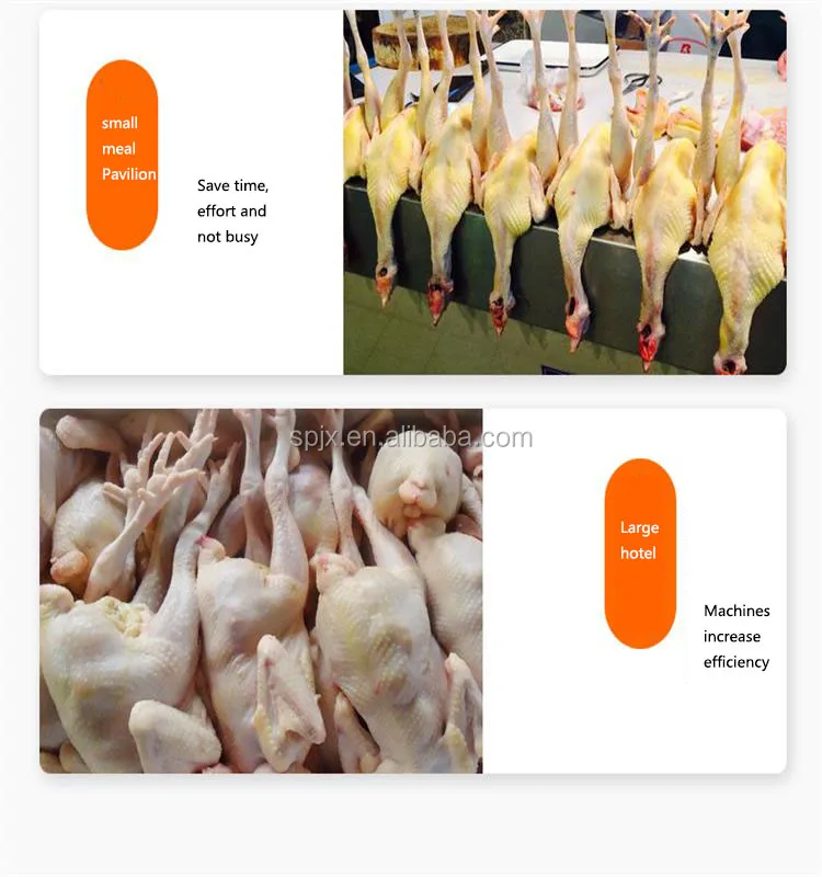 
automatic poultry equipment / electric chicken plucker machine / defeathering machine chicken 