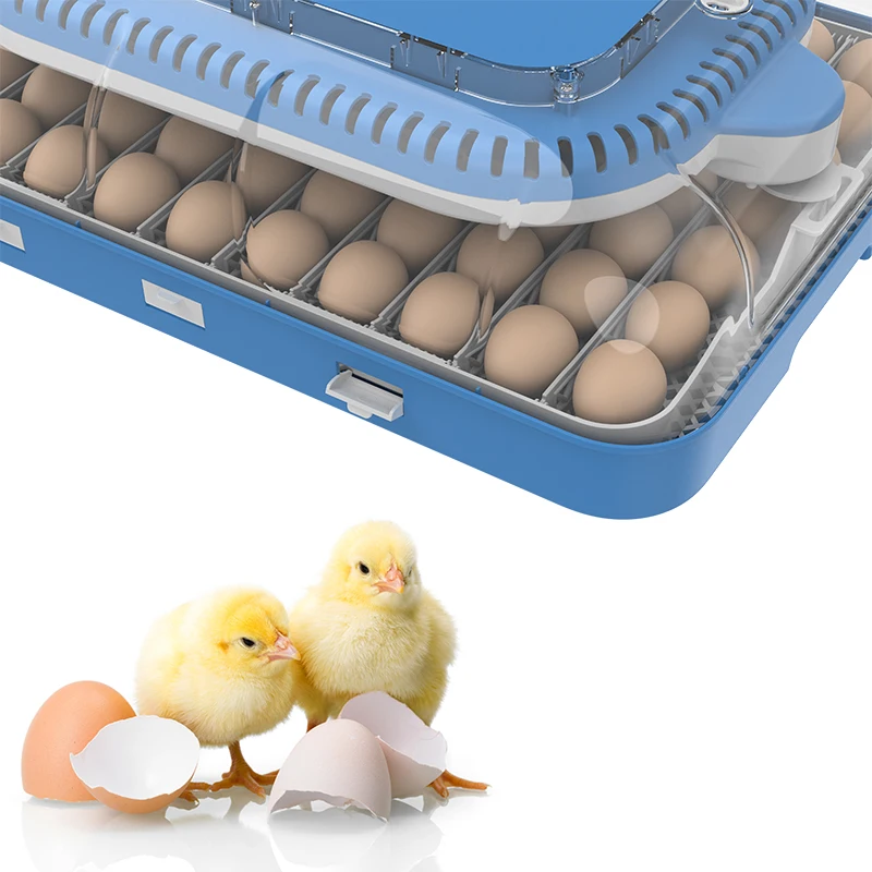 HHD WONEGG EW-70H 12 Volt Working Manufacturers Of Egg Incubator Breeding Equipment