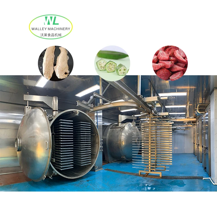 Hot Sale Large Scale Industrial Vacuum Freeze Dryer for Sweet Corn Food Lyophilizer Strawberry Freeze Drying Equipment