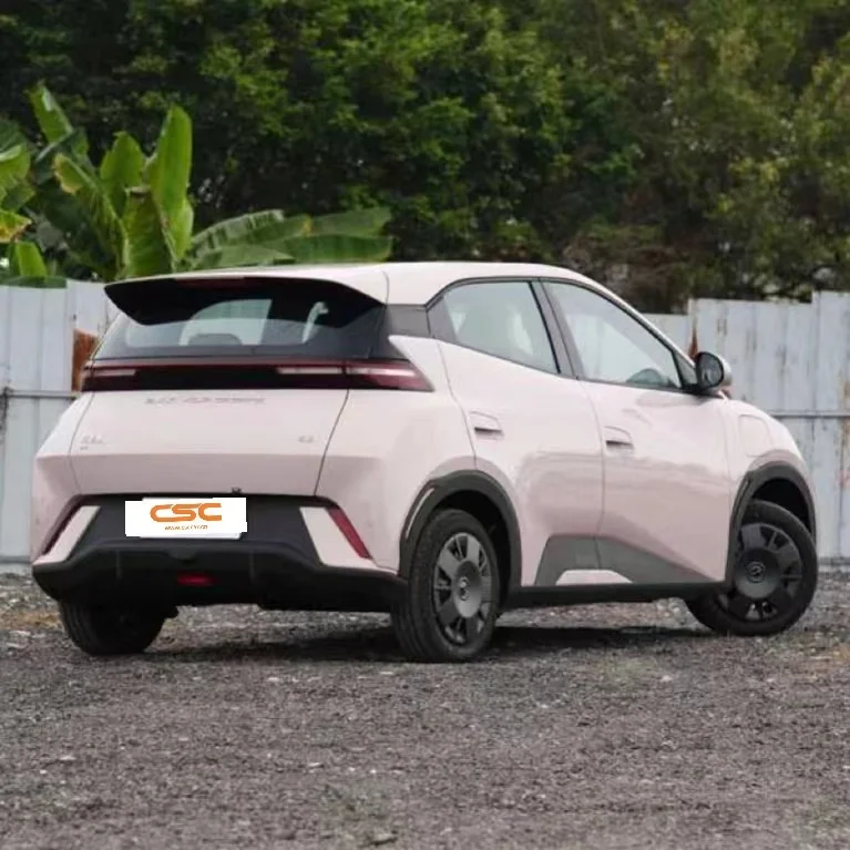 Small Electric Car Option with Eco-Friendly Design and Affordable Pricing