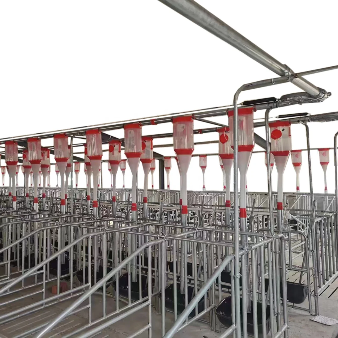 Оборудование для свиноводства автоматическая система подачи корма животных