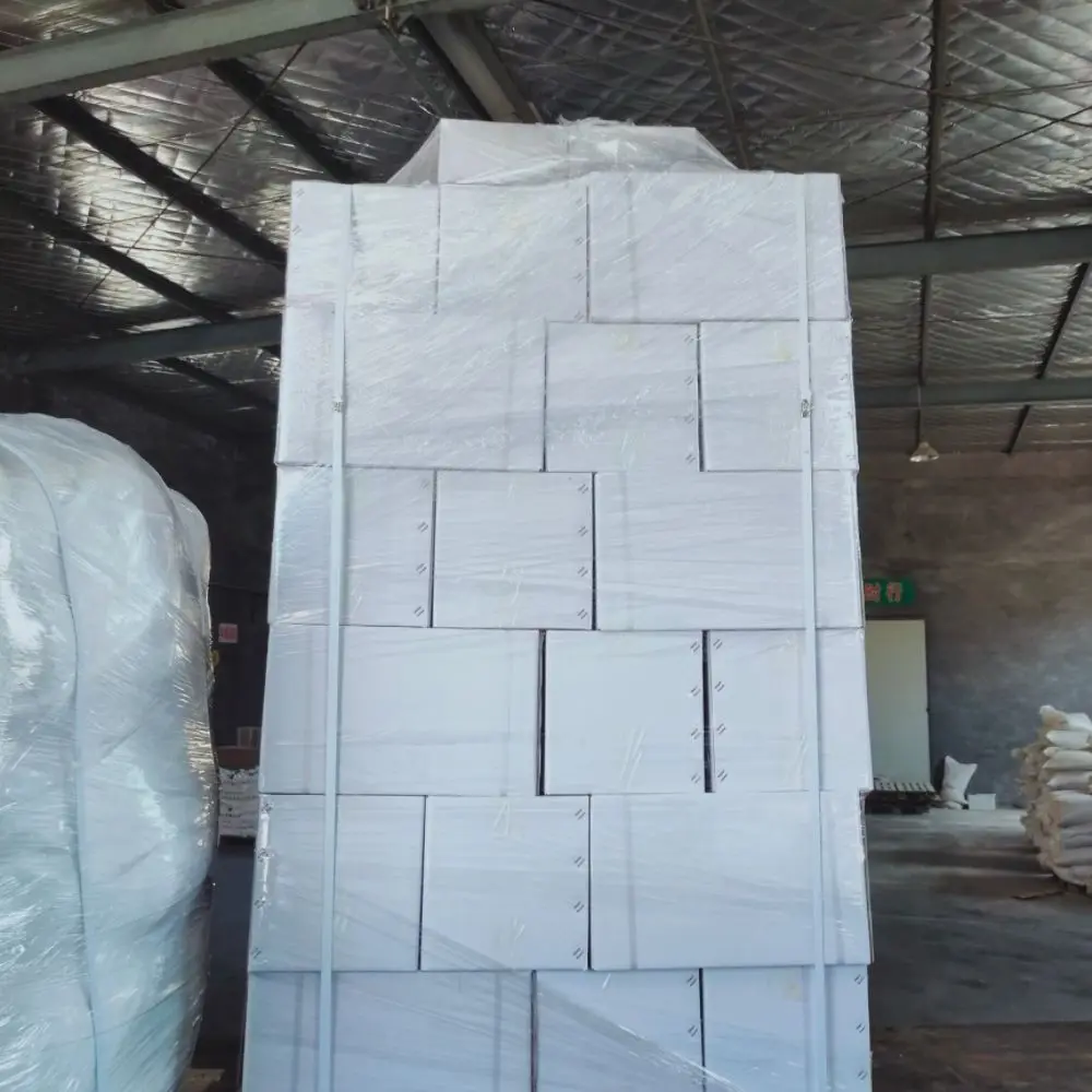 Anaerobic Microbes for Septic tank Sludge Digestion