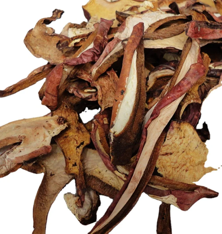 
Wild dried Boletus speciosus Frost mushrooms Boletus queletiischulz for food 
