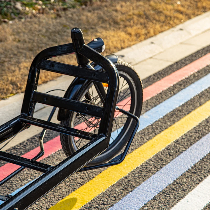  750W грузовой велосипед семейный электровелосипед Otkargo ebike для